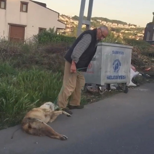 İple boğazından bağladığı köpeğini ciple sürükleyerek çöpe atmıştı: O şahıs serbest bırakıldı