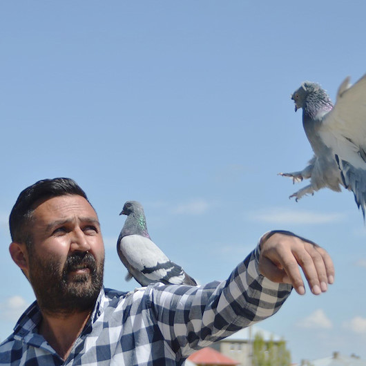 300 güvercini için arazi satın aldı: 350 bin lira harcadı