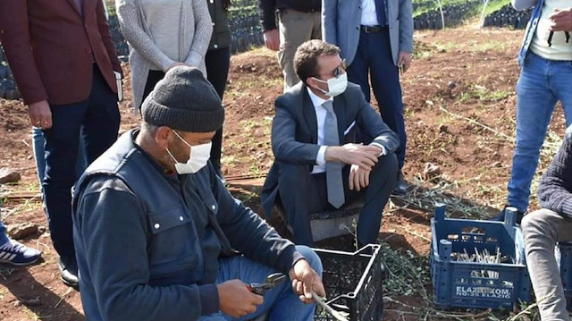 Mardin Derik kaymakamı Aytemür'ün hedefi 1 milyon zeytin ağacı