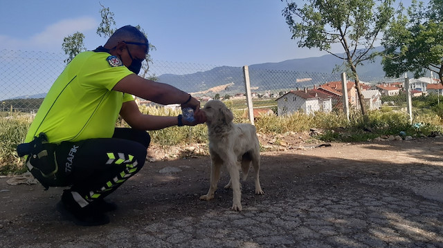 Polis kendi suyunu sıcaktan bunalan köpeğe eliyle içirdi.