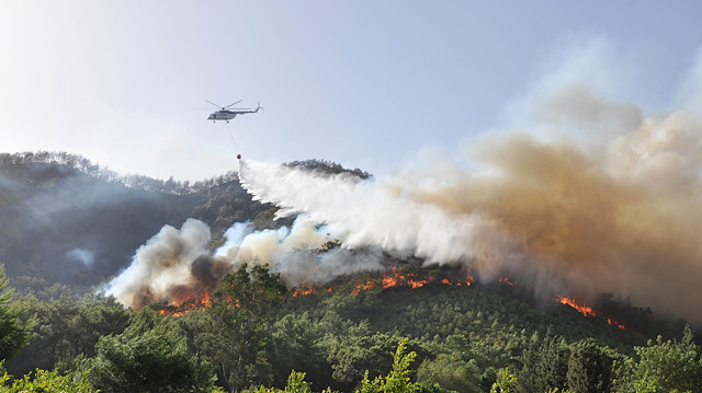 Antalya Orman Bölge Müdürü Vedat Dikici, olağanüstü durumun bugüne kadar bu mevsimde görülmediğini belirtip, dikkatli olunması konusunda uyardı.