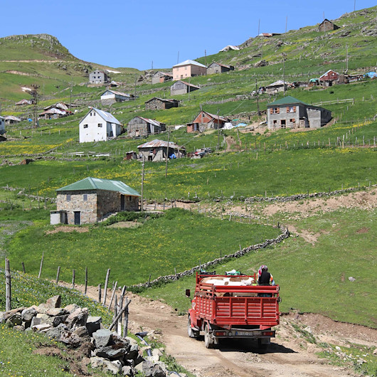 Gümüşhane alarm veriyor: Yayla göçleri vakaları artırdı