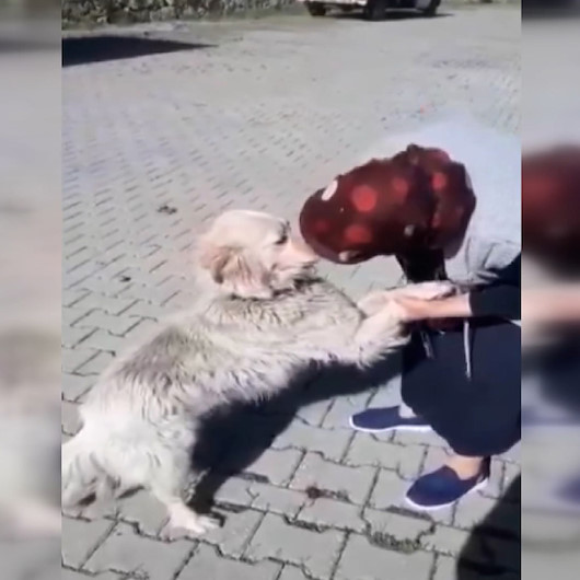 Bolulu Şerife Teyzenin kaybolan köpeğiyle buluşma anı güzel görüntüler oluşturdu