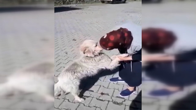 Bolulu Şerife Teyze'nin kaybolan köpeğiyle buluşma anı güzel görüntüler oluşturdu
