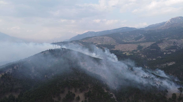 Adana'nın Pozantı ilçesinde çıkan orman yangını