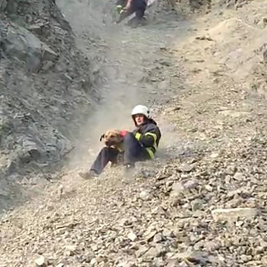 Kayalıklarda mahsur kalan köpeği itfaiye ekipleri kurtardı