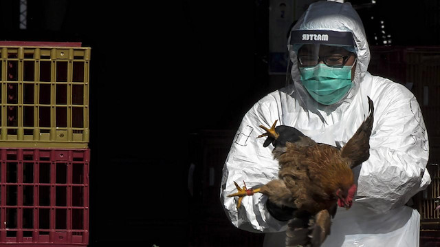 Çin'de kuş gribinin 'H10N3' türü ilk defa bir insanda tespit edildi