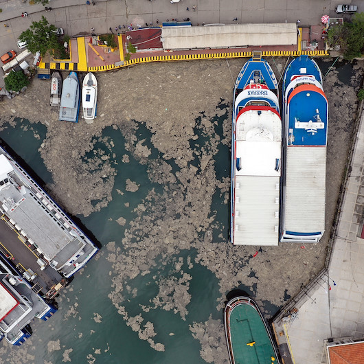 Marmara Denizini kaplayan deniz salyası havadan görüntülendi
