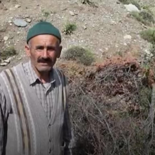 İki yılda 200 yabani meyveyi aşılayan Kastamonulu İsmail Eldeke kaymakamdan teşekkür