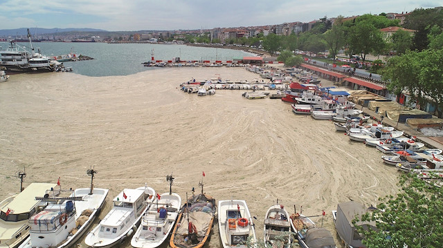 Çevre ve Şehircilik Bakanı Murat Kurum, Marmara Denizi’ndeki deniz salyasına ilişkin, 6 Haziran’da eylem planlarını açıklayacaklarını duyurdu.