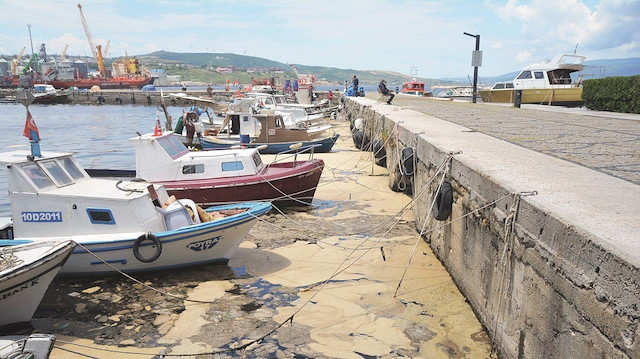 Marmara’yı nefessiz bırakan deniz salyasına karşı uzmanlar uyarıyor.
