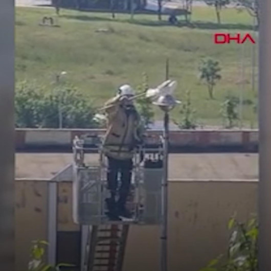 Aydınlatma direğine kanadı takıldığı için uçamayan martıyı itfaiye ekipleri kurtardı