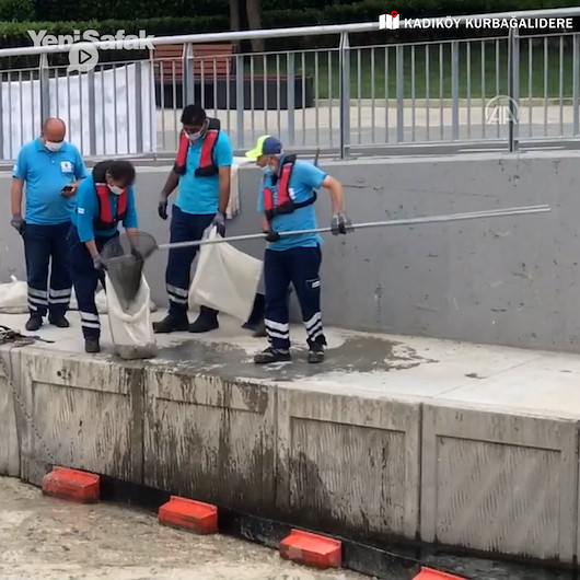 Kadıköy Belediyesinden müsilajla ilginç mücadele: Bir temizlik personeli ağ ile Kurbağalıdereden deniz salyası topladı
