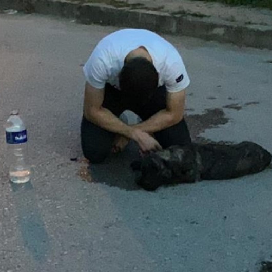Araç çarpmasıyla yaralanan köpeğine sarılarak ağladı
