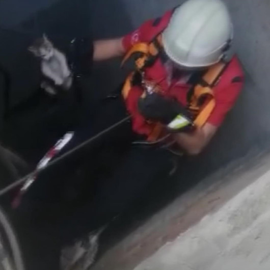 Asansör boşluğuna düşen kediyi itfaiye kurtardı