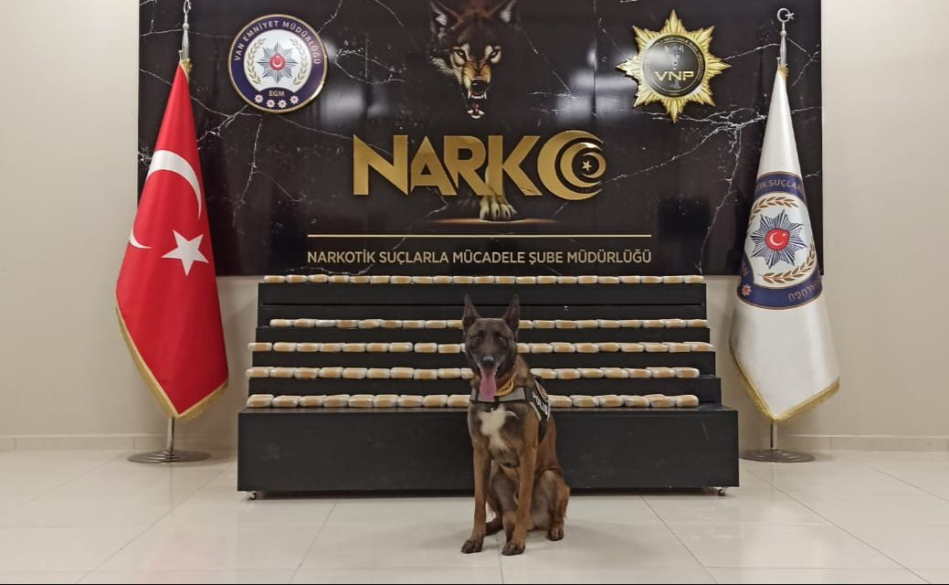 Narkotik köpeklerle arama yapıldı.