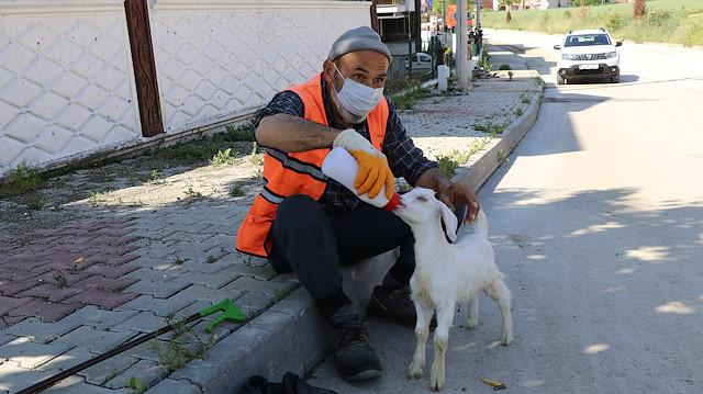 Cadde ve sokakları bir an olsun peşinden ayrılmayan oğlağı Osman'la temizliyor