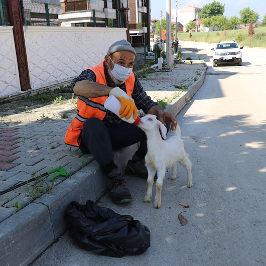 Cadde ve sokakları bir an olsun peşinden ayrılmayan oğlağı Osmanla temizliyor