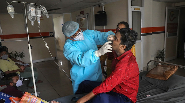 Hindistan'da kara mantar “epidemi” ilan edildi.