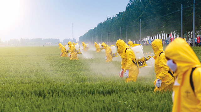 Pestisitler: Modern soykırım aracı!