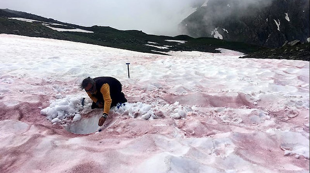 Alpler’de kırmızı kar görüldü.