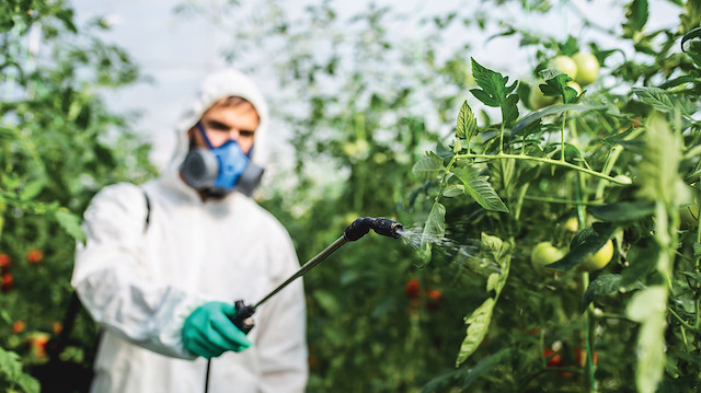 Pestisitlerin çevre ve insan sağlığına etkileri