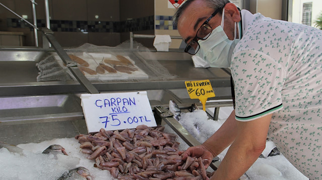 Balıkçılar iskorpiti kilosu 75 liradan satışa sunuyor