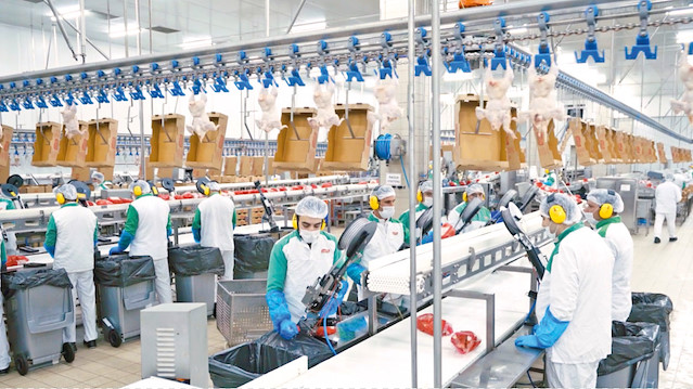 İzmir Kemalpaşa’nın ardından ikinci beyaz et üretim tesisini Kahramanmaraş’ta kuracak olan firma, arazi alımlarını tamamladığı fabrika için 1.35 milyar TL (130 milyon Euro) yatırım yapacak.
