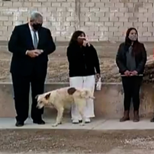 Arjantin�de konuşma yapan belediye başkanının üzerine köpek işedi