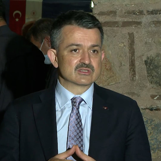Bakan Pakdemirli: Marmara Denizindeki balıkların yenilmesi ile ilgili bir problem yok