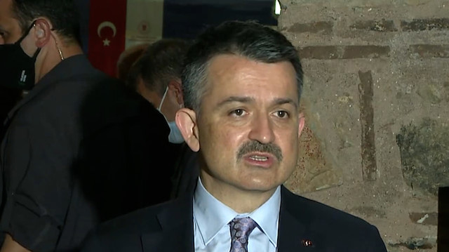 Bakan Pakdemirli: Marmara Denizi'ndeki balıkların yenilmesi ile ilgili bir problem yok
