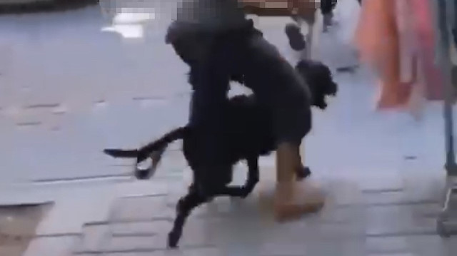 İş yerinden çıkan şahıs, ardından köpeği sokaktaki vatandaşların üzerine sürdü.