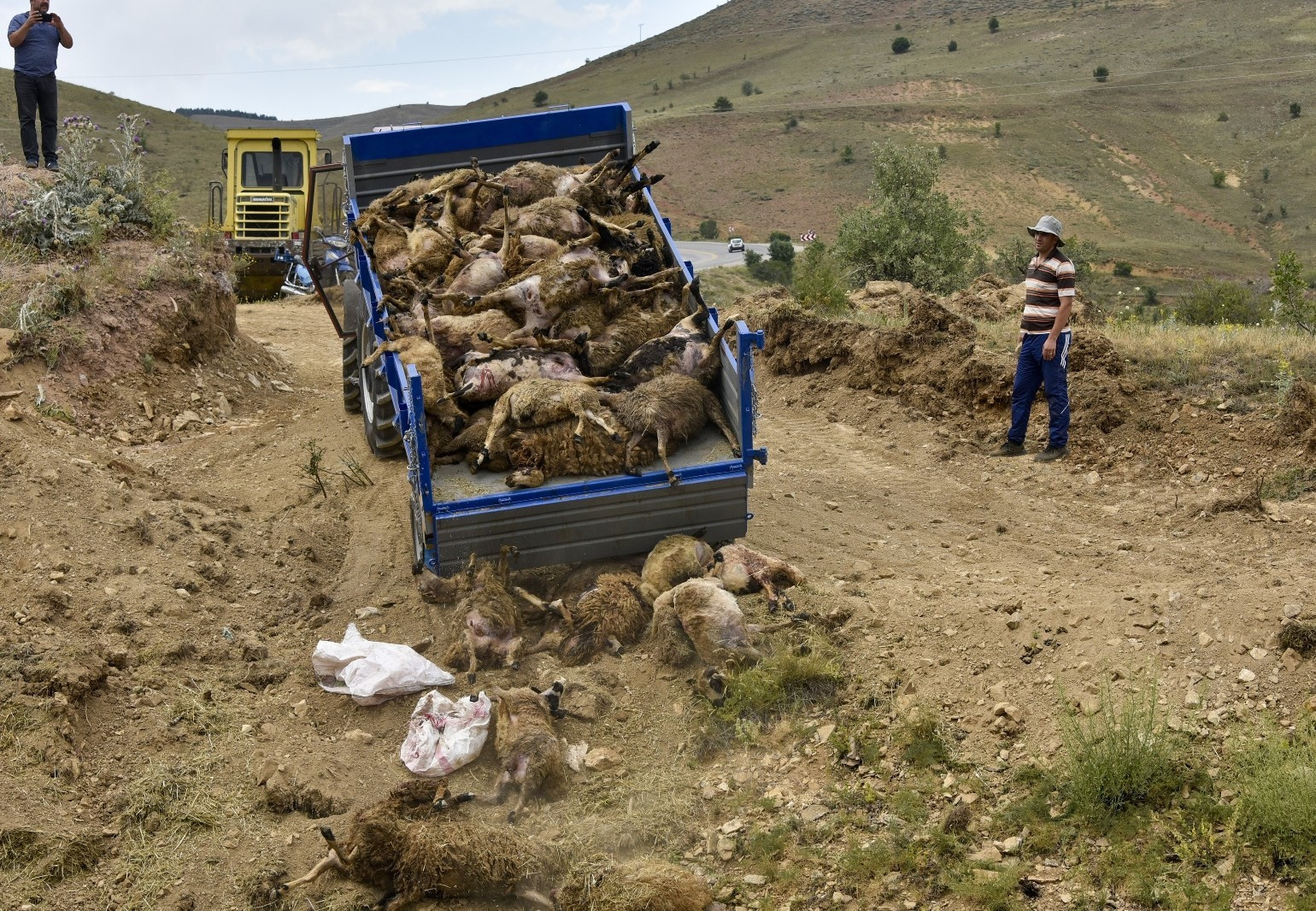Telef olan koyunlar kepçelerle ağıldan çıkarılıp güvenli bir noktada gömüldü.