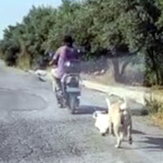 Mersinde hayvana şiddet kamerada: Köpeği elektrikli bisikletinin arkasına bağlayıp sürükledi