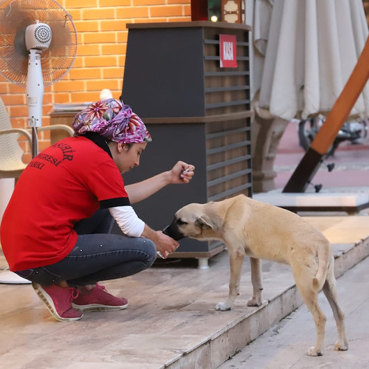 Manisada belediye çalışanı susuzluktan bitkin düşen köpeğe elleriyle su içirdi