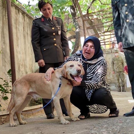 Şehit onbaşının gazi köpeği Atmaca ailesine sahiplendirildi: Sanki yavrumdan bir parça geldi