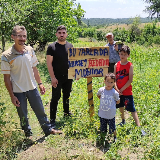 Bu tarladaki meyve ve sebzeler herkese bedava