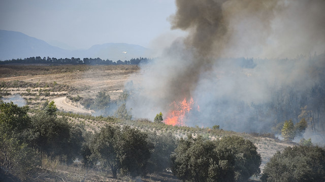 Adana'nın Sarıçam ilçesinde çıkan orman yangını