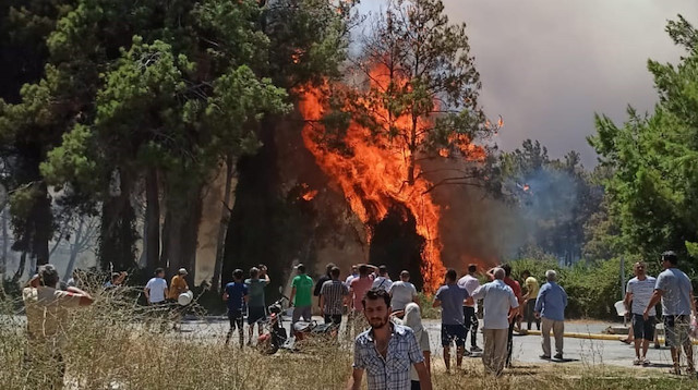 Muz seraları yandı: Traktörler alevlere teslim oldu! Vatandaşlar kovalarla müdahale ediyor