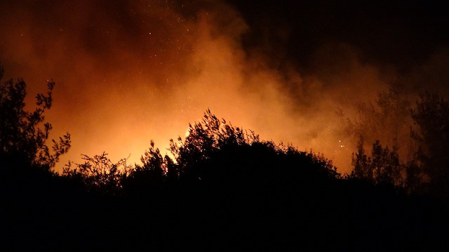 Kozan’da orman yangını.