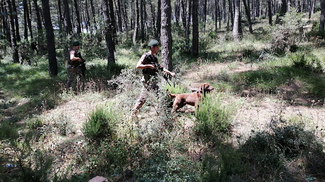 Çok sayıda ekip, İstanbul'daki ormanlık alanlarda denetim yaparak tedbirleri arttırdı. 