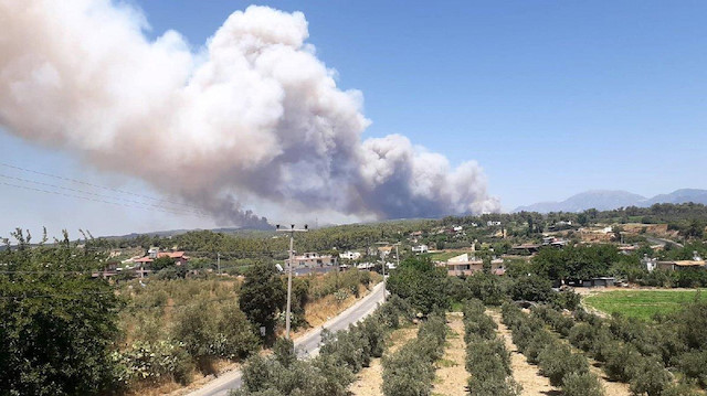 Adana'nın 22 farklı noktasında orman yangını çıktı.