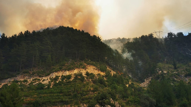Antalya'nın Gündoğmuş ilçesinde orman yangını çıktı.

