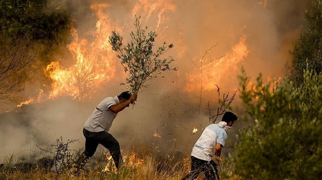 الأردن يعزي تركيا بضحايا حرائق الغابات