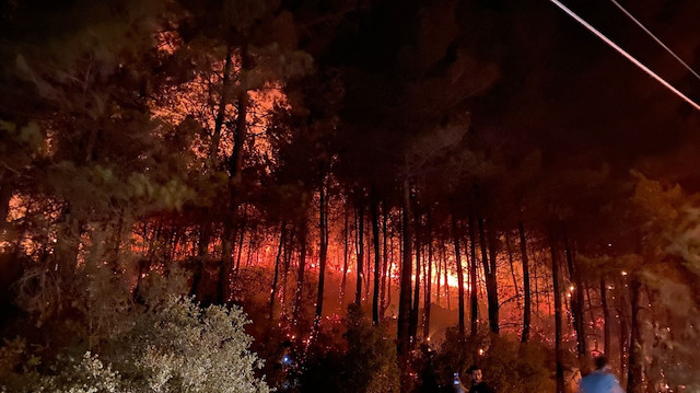 Fethiye'de orman yangını: Sabotaj ihtimali üzerinde duruyoruz