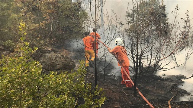 الرئاسة التركية تنشر معطيات جهود إخماد حرائق الغابات