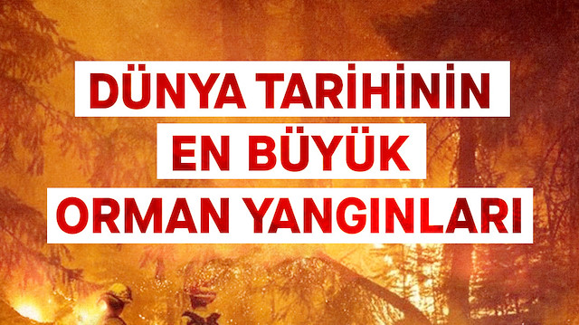 Birçok ülkede milyonlarca hektar ormanlık alan yanarak kül oluyor.