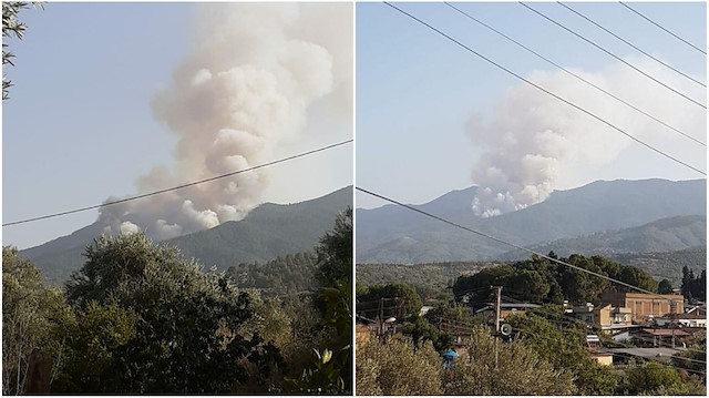 Karacasu'da orman yangını
