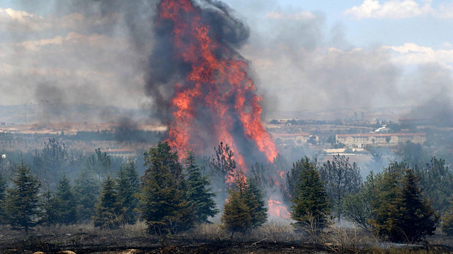 Atatürk Orman Çiftliği arazisinde 25 Temmuz'da yangın çıkmıştı. 