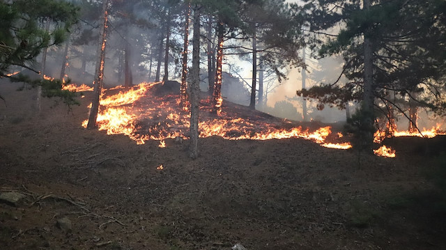 Denizli'deki yangına müdahale için 11. Komando Tugay Komutanlığının iş makineleri ve personeli görevlendirildi. 